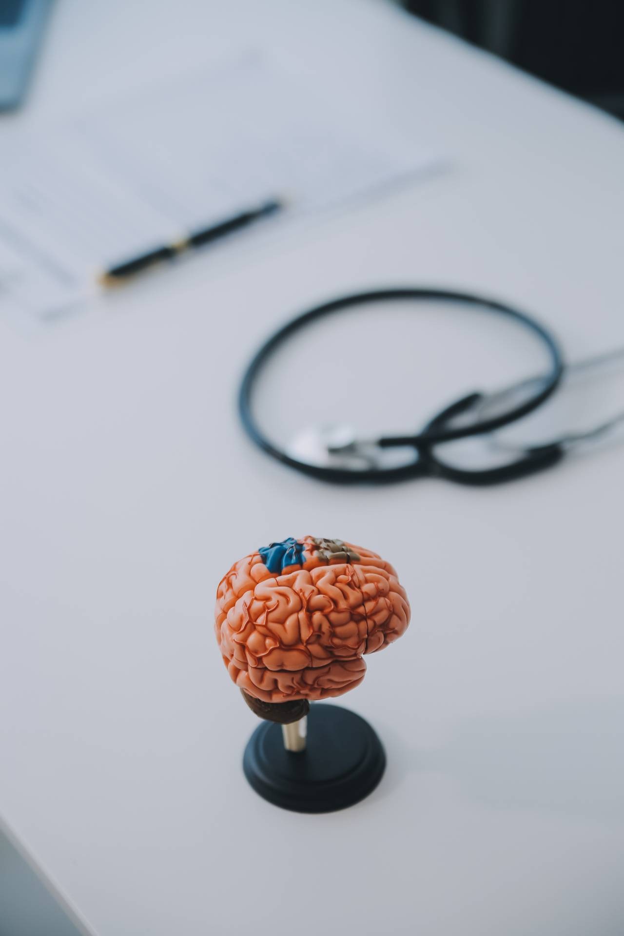 Brain Aid Clinics Holistic Mental Health Care Services Plan